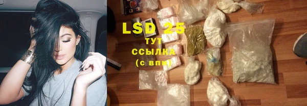 эйфоретик Баксан