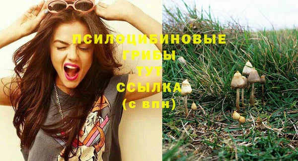 эйфоретик Баксан