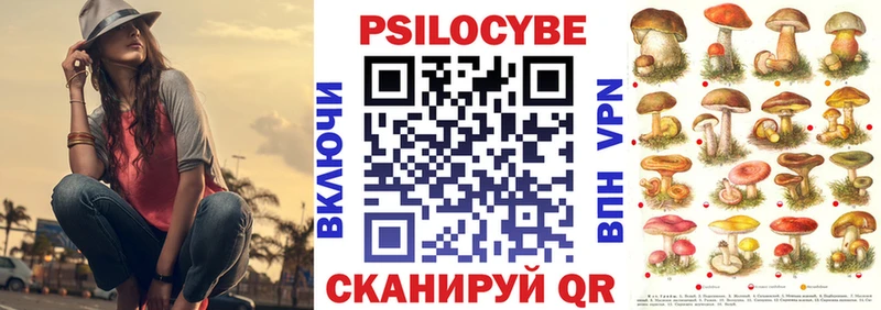 Псилоцибиновые грибы Cubensis  площадка состав  Бор 